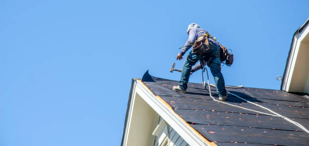 Roof Waterproofing Services in Takoma Park, MD